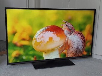 43" Panasonic TX-43GX550E
