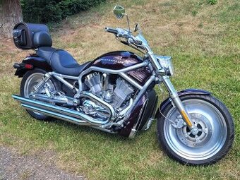 Harley Davidson - V ROD  VRSCA