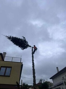 Kácení stromů, zemní práce, zahrady