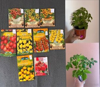 Sazenice cherry rajčata 9 druhů