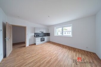 Pronájem, byty/1+1, 32 m2, Ráčkova, Petřvald, Karviná [ID 85