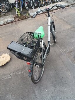 Kolo raleigh