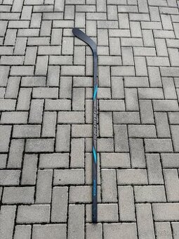 Bauer Nexus E50 pro