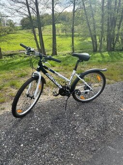DÁMSKÉ KOLO MAXBIKE