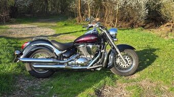 Intruder C800
