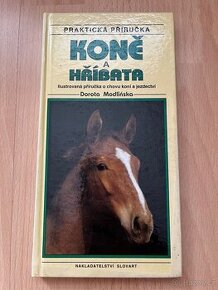 Koně a hříbata - 1