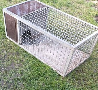 Klec 100x50x35