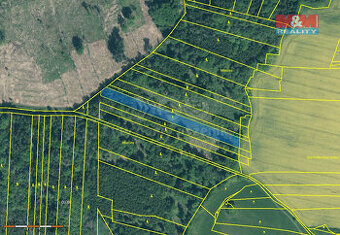 Prodej lesa, 4125 m², Stehlovice