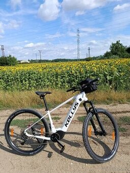 Kellys Tayen 29" vel M