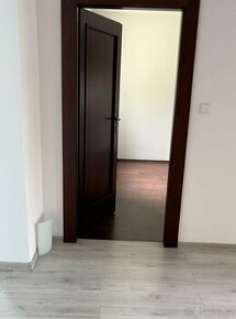 Masivní dveře - mahagon