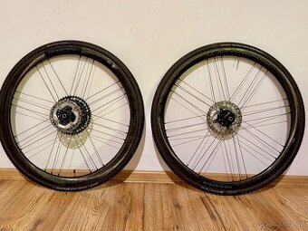 Campagnolo shamal carbon db