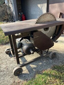 Cirkulárka kolébková