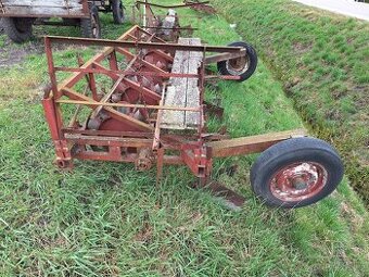 Prodam sazec brambor babosed