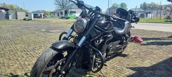 Harley Davidson VRSCDX night rod special