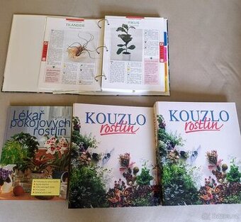 Kouzlo rostlin