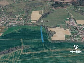 Pole 11 984 m², Podíl 50 % o výměře 5 992 m²