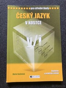 Česky jazyk v kostce - 1