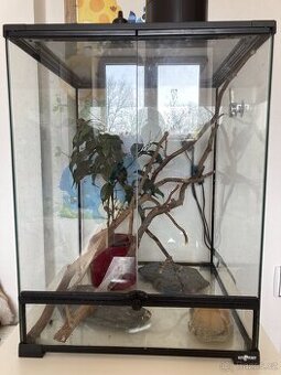 terárium reptiplanet 45x45x60