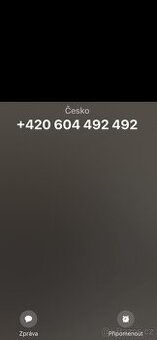 Zlaté TOP číslo 604 492 492 a stejné formáty v textu