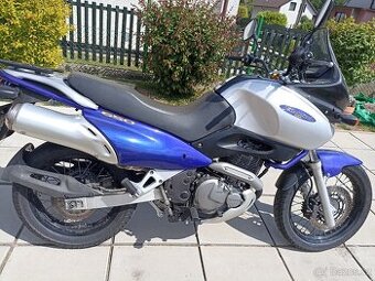 SUZUKI XF 650 - 1