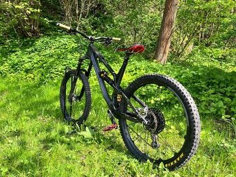 Canyon Torque CF7