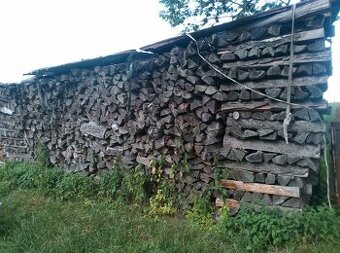 Dřevo