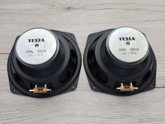Tesla ARN 5608