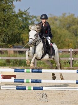 Pony do sportu pro šikovného juniora