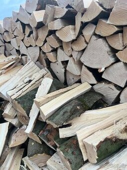 PALIVOVÉ DŘEVO BUK