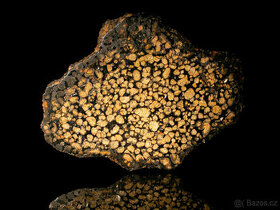 Meteorit Sericho (pallasit) - 1