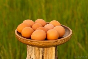 Domácí vajíčka / vejce