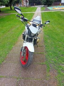 Honda Hornet cb600f