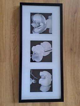 Obraz triptych orchidejí