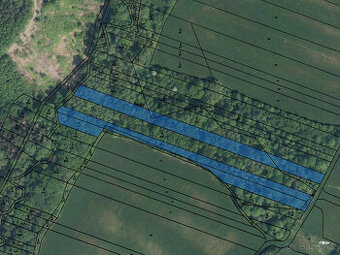 Prodej souboru pozemků lesa a orné půdy, 11 699 m2 v obci Ša - 1