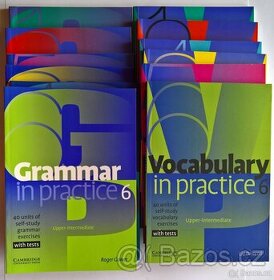 CAMBRIDGE English Grammar & Vocabulary in Practice