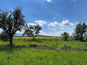 Prodej zahrady blízko Brna (767 Kč/m2) možný zahradní domek