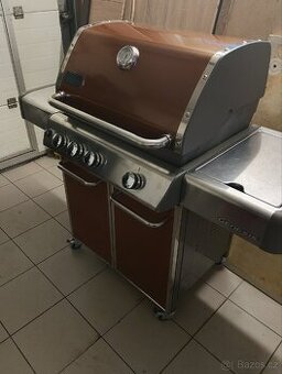 Gril Weber Genesis