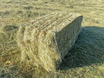 Seno- velké hranaté balíky