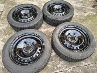 zimní kola (disky+pneu 205/55 R16 Nokian WR D4 vzorek 9,7mm