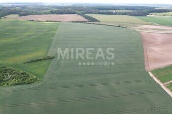 Jiřice, prodej pole 23 867 m2, okr. Nymburk.