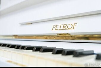 Petrof Chippendale  117 - 1