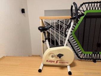 Rotoped Kalpe magnetik