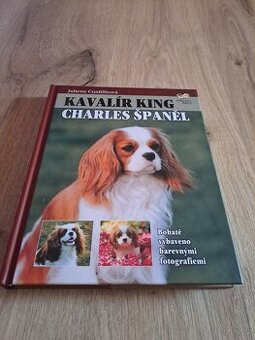 Kavalír king Charles španěl
