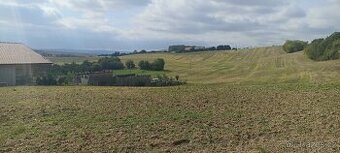 Prodej stavebního pozemku,obec Bohdalice-Pavlovice,CP 3936m2