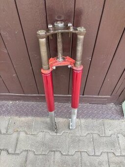 Jawa californian- panelka, sportka