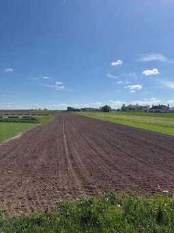 Prodej pole - orná půda podíl 1/2, 7787m²
