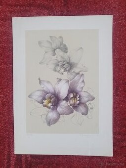 Litografie č5 - 1