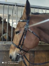 Biothane černá uzdečka