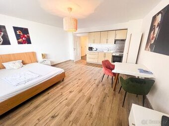 Pronájem bytu 1+kk 41 m2, Znojmo-Zelenářská ul.