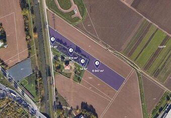 Prodej pole v k.ú. Brněnské Ivanovice